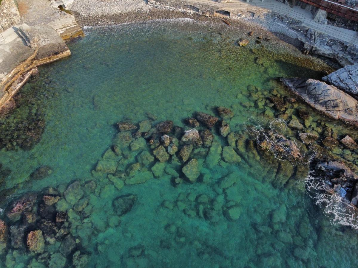 La Terrazza Sul Mare Lejlighed Zoagli Eksteriør billede