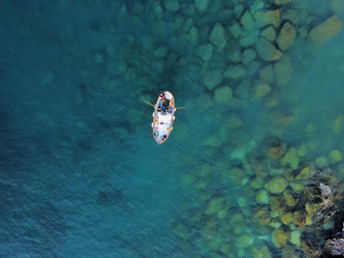 La Terrazza Sul Mare Lejlighed Zoagli Eksteriør billede