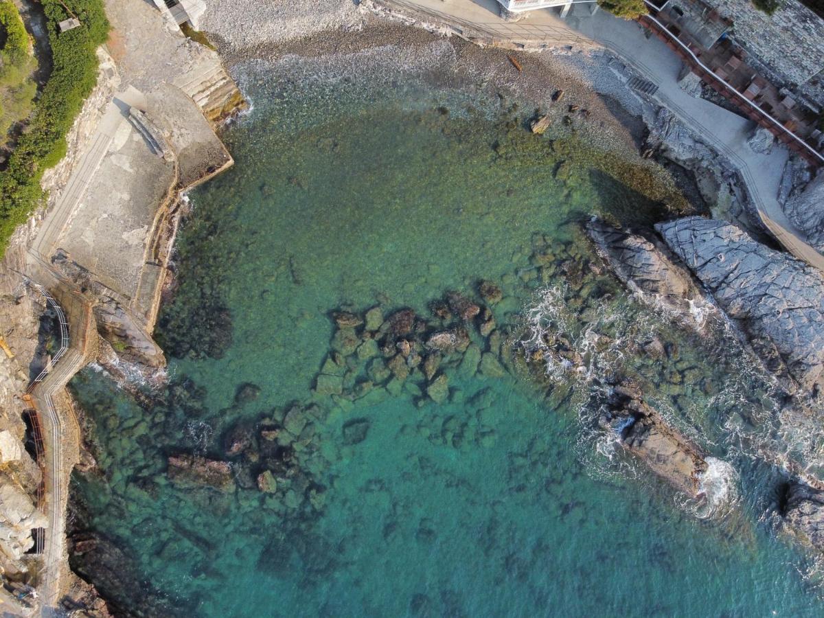La Terrazza Sul Mare Lejlighed Zoagli Eksteriør billede